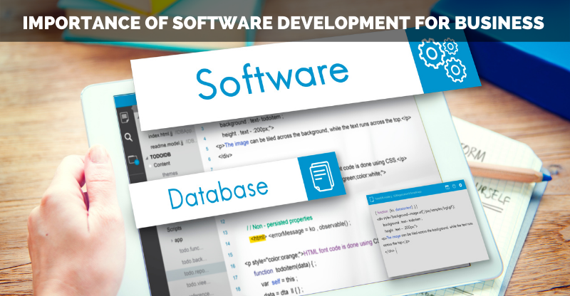 Importance-of-software-development-for-business 